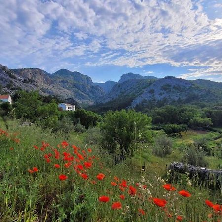 Apartments Paklenica Starigrad Paklenica Eksteriør billede