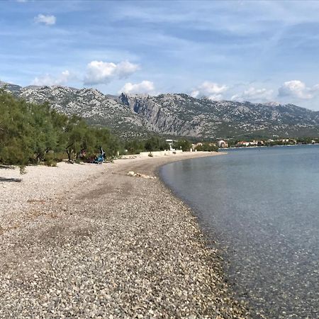 Apartments Paklenica Starigrad Paklenica Eksteriør billede