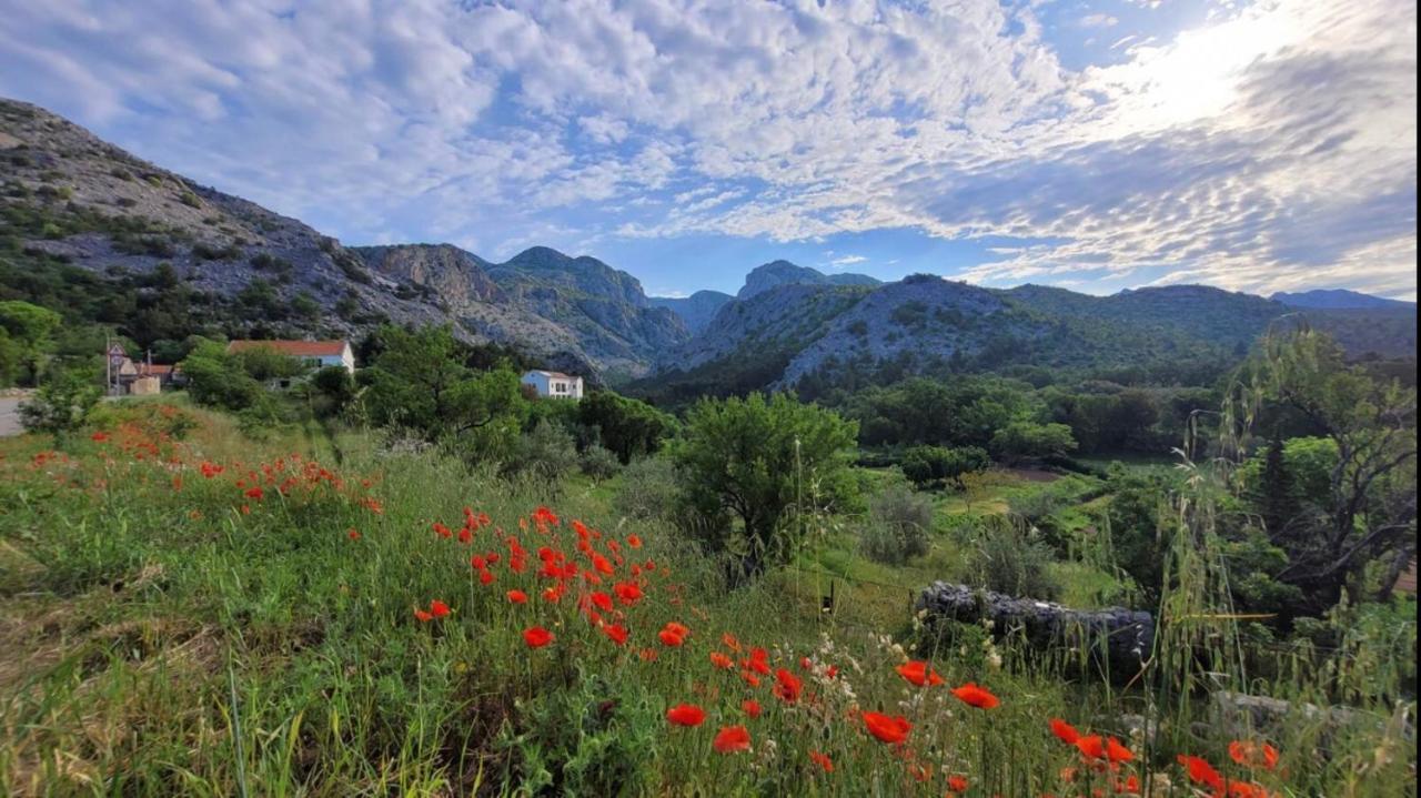 Apartments Paklenica Starigrad Paklenica Eksteriør billede