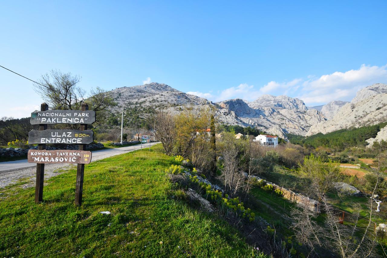 Apartments Paklenica Starigrad Paklenica Eksteriør billede