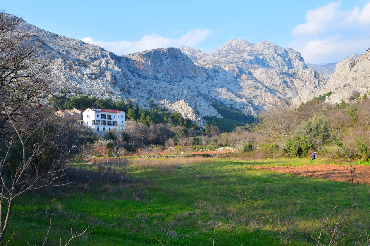 Apartments Paklenica Starigrad Paklenica Eksteriør billede